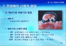 7강_ 전생애 인간발달(10장) 10페이지