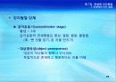 7강_ 전생애 인간발달(10장) 29페이지