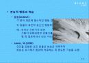 8강_ 동기(11장) 11페이지