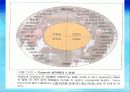 10강_ 인간의 성격이해(13장) 13페이지