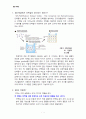 [생명공학실험] SDS-PAGE 2페이지
