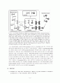 세포생물학 -바이오 의약단백질의 glycosylation 10페이지