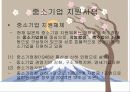 일본의 중소기업(현황, 강점, 중소기업 지원 정책) 5페이지