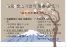 일본의 중소기업(현황, 강점, 중소기업 지원 정책) 12페이지