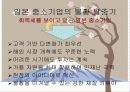 일본의 중소기업(현황, 강점, 중소기업 지원 정책) 17페이지