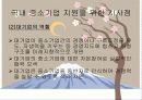 일본의 중소기업(현황, 강점, 중소기업 지원 정책) 20페이지