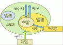 한국, 일본 정치 구조 비교 분석 13페이지