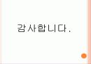 아이디어 혁명을 읽고 감상문 및 느낀점 13페이지