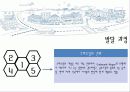 현대사회와공간 코하우징(Cohousing) 11페이지