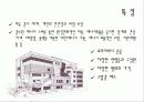 현대사회와공간 코하우징(Cohousing) 13페이지