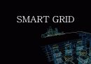 스마트그리드(smart grid) 1페이지