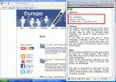페이스북(facabook)의 딜레마 17페이지