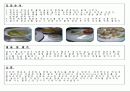 외국조리실습보고서 4페이지