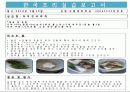 한국조리실습보고서 3페이지