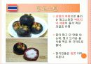 태국 음식문화 정복하기 29페이지