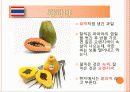 태국 음식문화 정복하기 30페이지