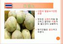 태국 음식문화 정복하기 37페이지