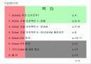 메뚜기=두바이 / 두바이에관한 고찰/ 두바이라는 지역조사 3페이지