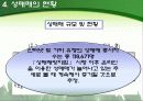 성매매 실태, 문제점 17페이지