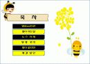 생태계의 수호자 꿀벌 (A+받은자료) 2페이지