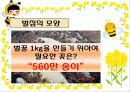생태계의 수호자 꿀벌 (A+받은자료) 8페이지