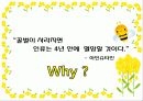 생태계의 수호자 꿀벌 (A+받은자료) 17페이지