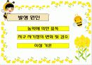 생태계의 수호자 꿀벌 (A+받은자료) 20페이지