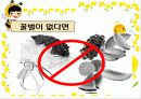 생태계의 수호자 꿀벌 (A+받은자료) 23페이지