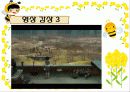 생태계의 수호자 꿀벌 (A+받은자료) 24페이지