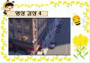 생태계의 수호자 꿀벌 (A+받은자료) 26페이지