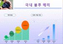 블루 베리 (blueberry) 10페이지