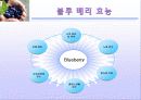 블루 베리 (blueberry) 13페이지