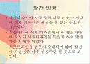 색채 디자인 20페이지