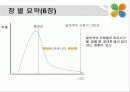 [독후감] 한계를 넘어서 9페이지