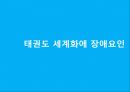 태권도 세계화에 장애요인 1페이지