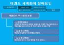 태권도 세계화에 장애요인 6페이지