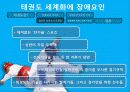 태권도 세계화에 장애요인 9페이지