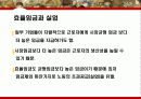 실업 28페이지