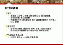 실업 30페이지