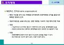 조직화 23페이지