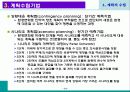 계획의 수립 14페이지