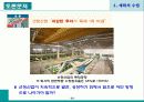 계획의 수립 22페이지