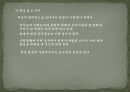 숫자로 경영하라 13페이지