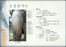 하지 근육 그리기 6페이지