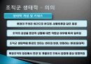네트워크실제사례(조직군, 생태헉, 공동체, 전략적선택이론) 3페이지