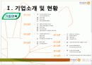 중소기업, 프랜차이즈 기업 브랜드 경영전략 조사(호식이두마리치킨) 6페이지