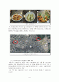 제품생산 입지 전략의 중요도와  분석(현대자동차, 엘지유플러스, 광주오리고기) 9페이지
