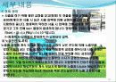 사출 성형기 20페이지