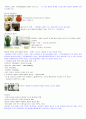 재료와인간의역사 2011년 2학기 A+맞은 자료입니다☆★ 17페이지