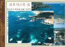 세계관광지리 호주 지역별 조사 ppt발표자료 74페이지 A+보장  38페이지
